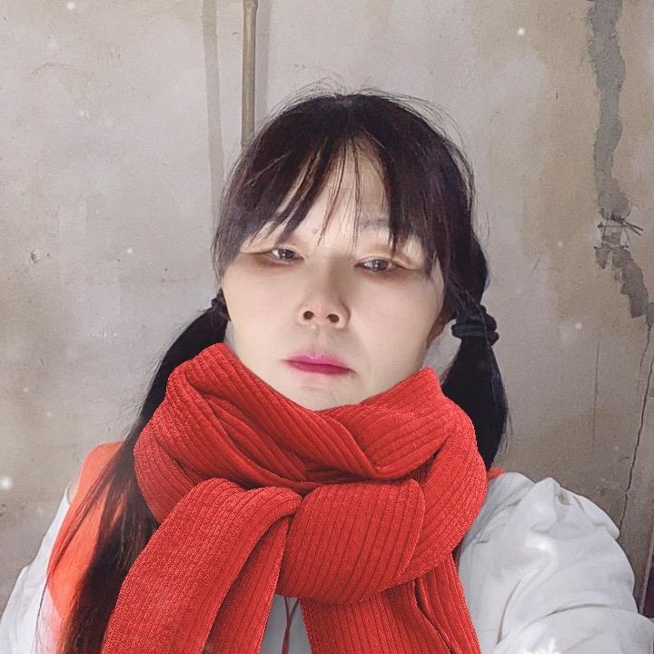 费图姐姐翠花（农民工）