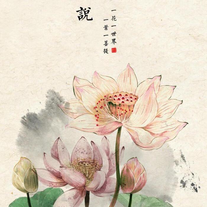 赛博半仙