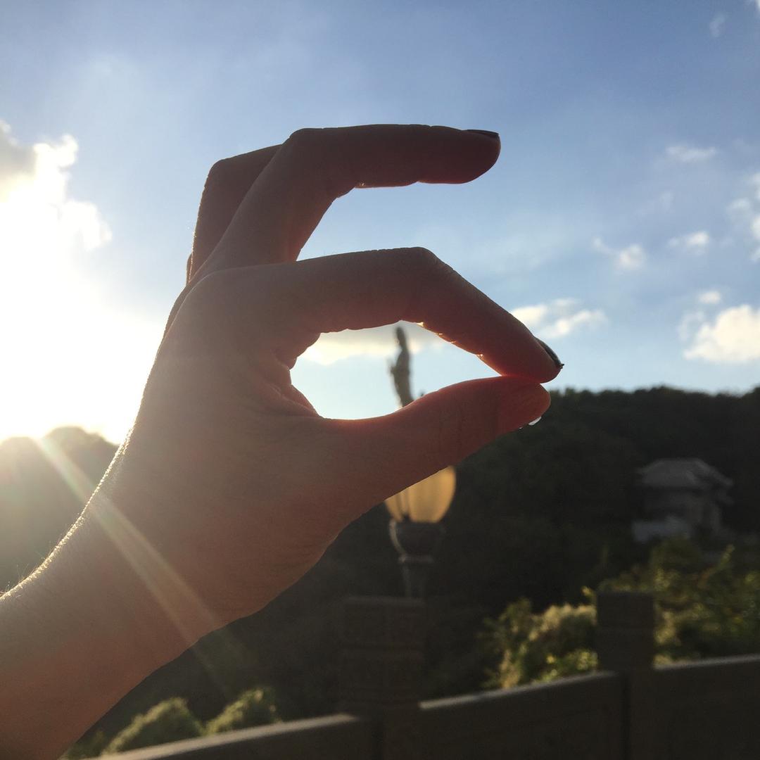菲比裙婵