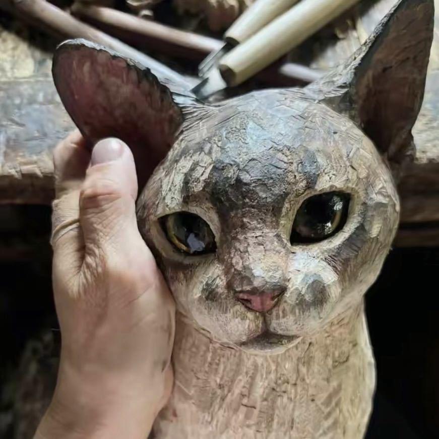 WZ工作室（阳光）