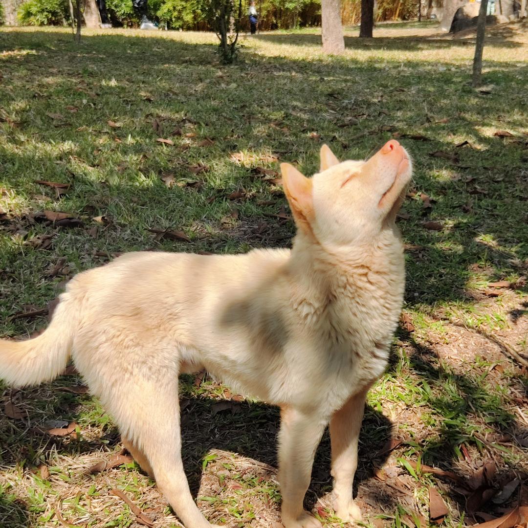 爱喝咖啡的碎碎念