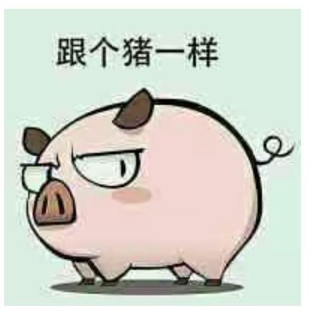 石来运转