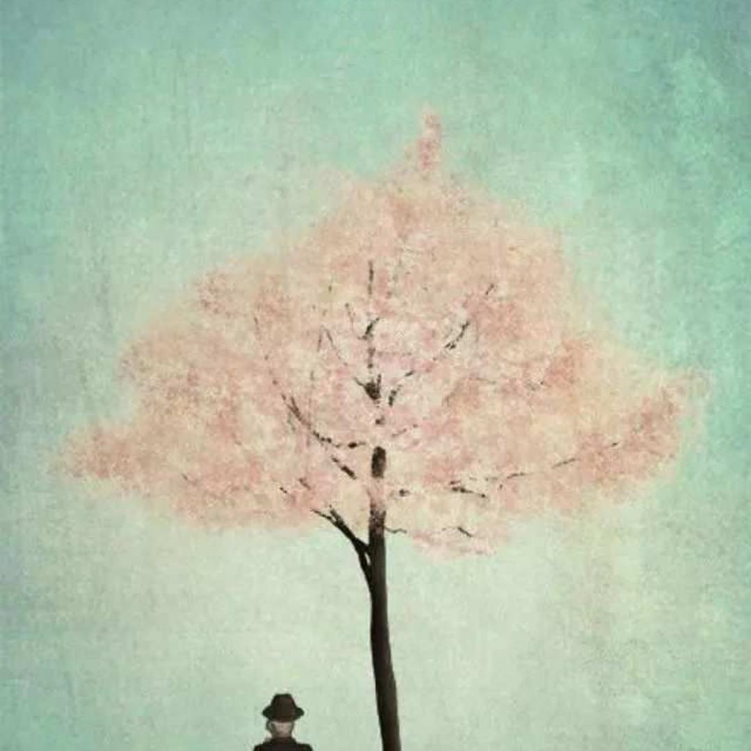 一颗开花的树头像