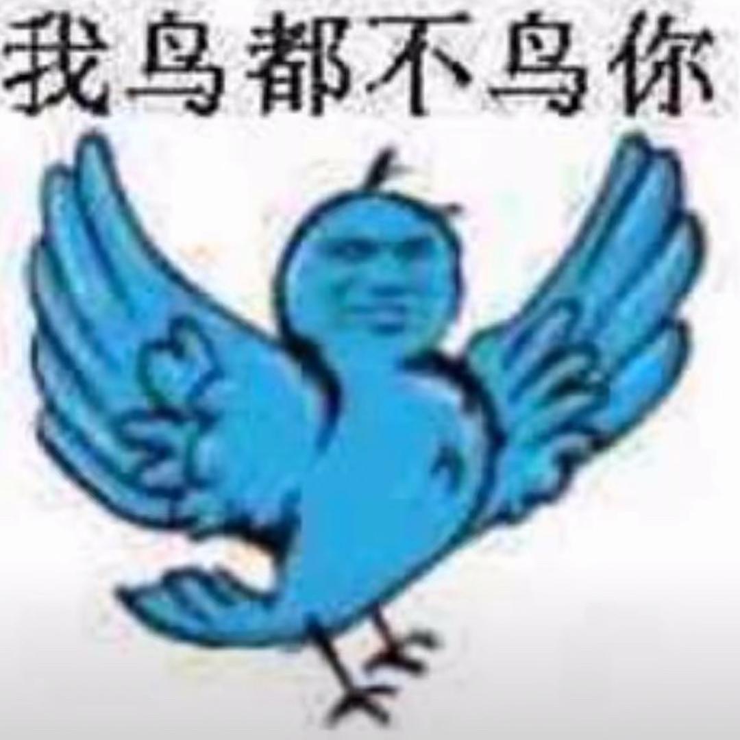 可恶的梅狸猫