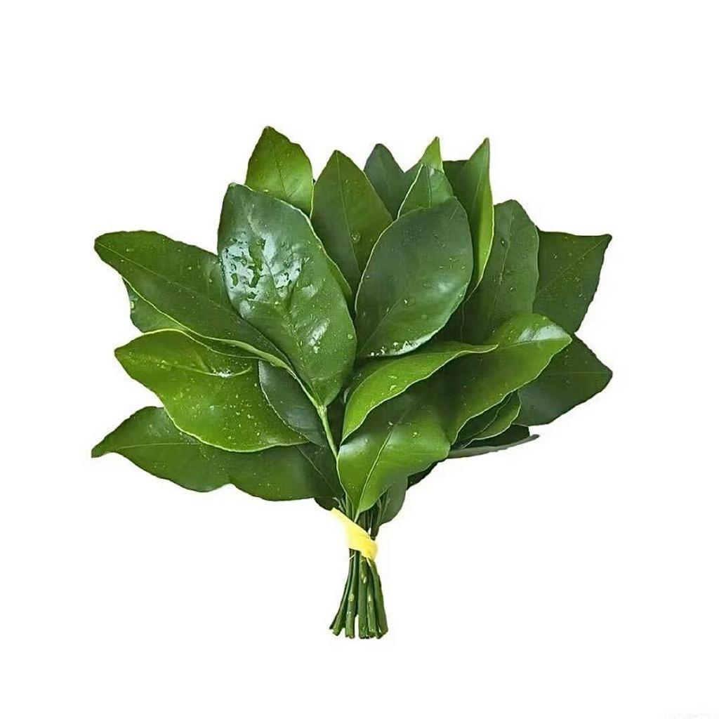 一只梨