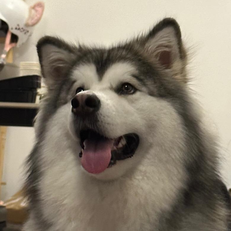 天使ovo