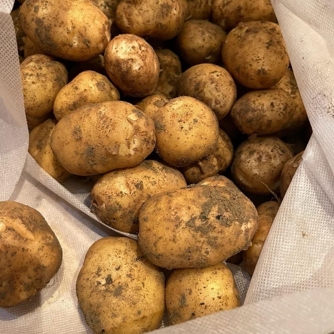 助农🥔农家味
