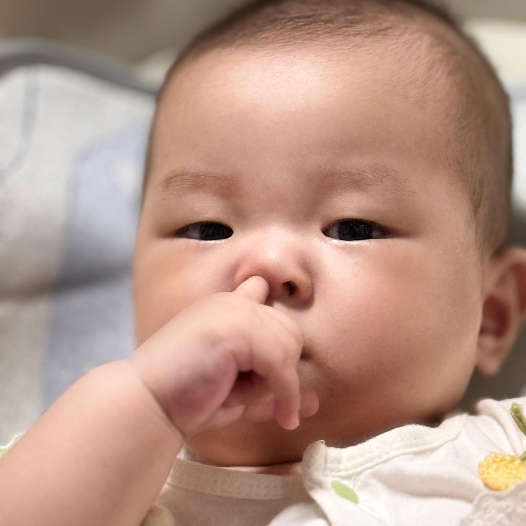 卡皮巴拉璐🫎ﾉ♡