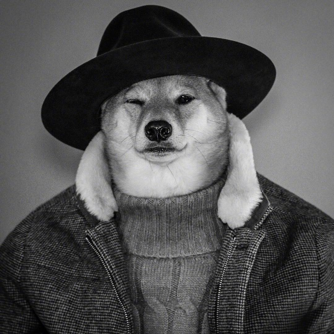 730