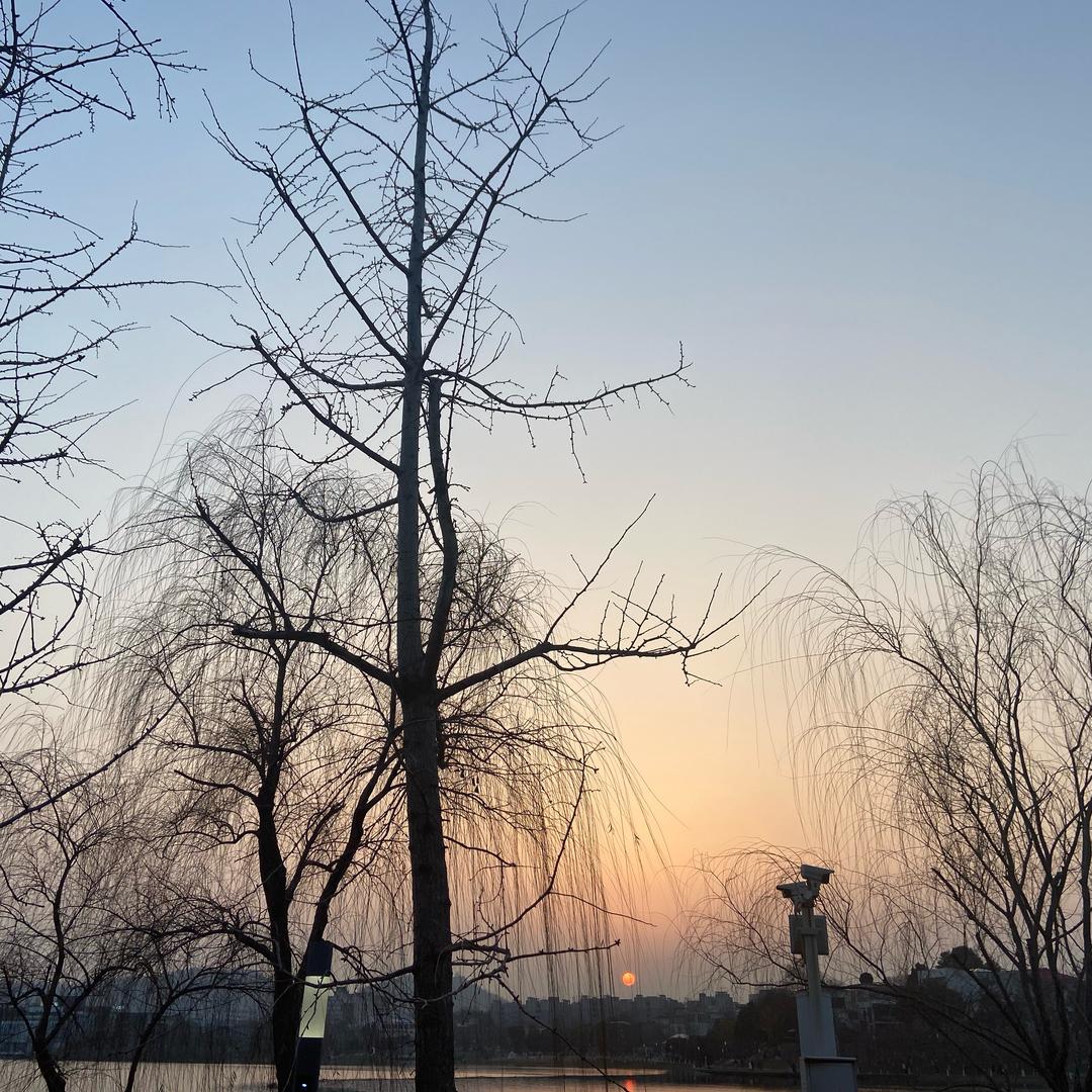 财源滚滚来