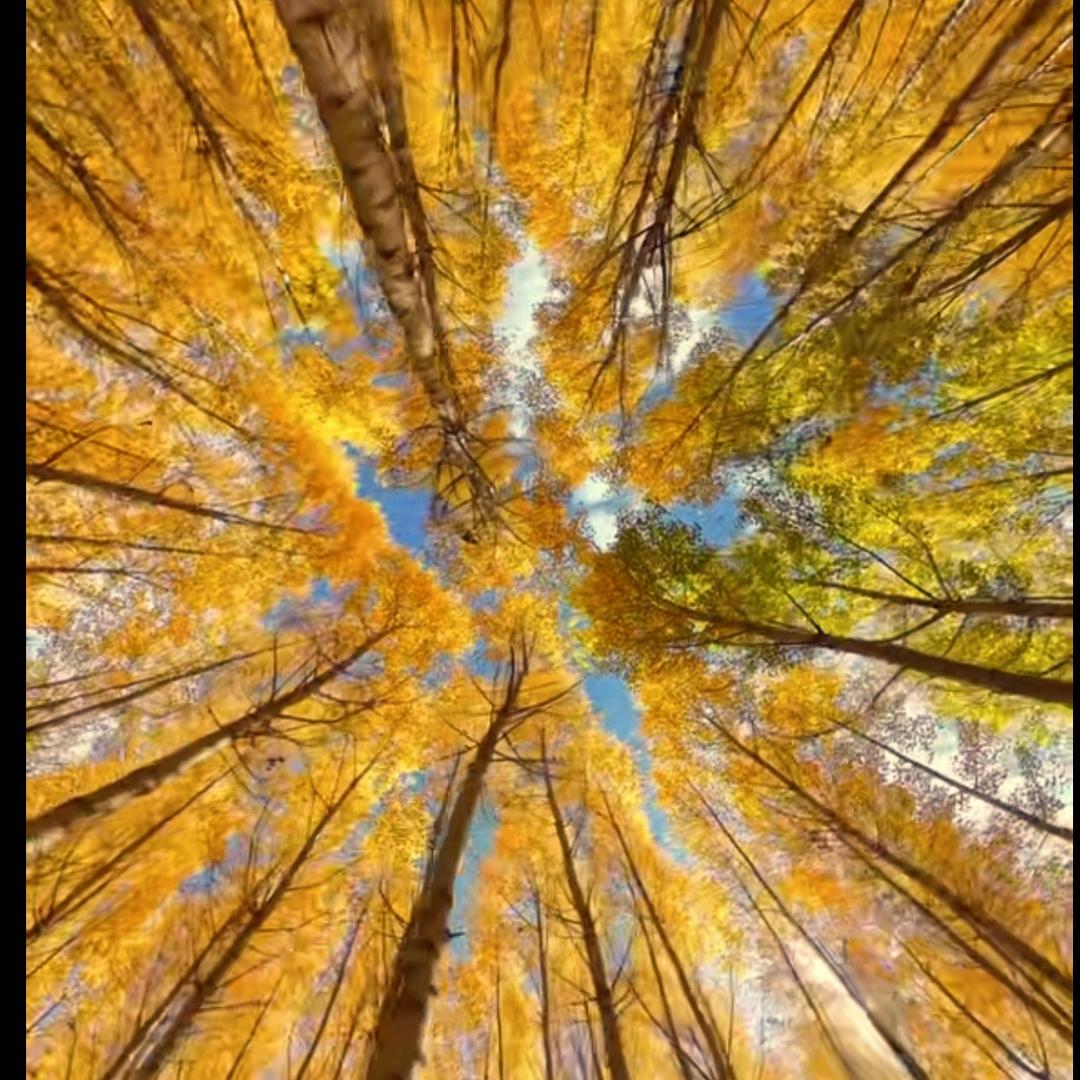 义乌高维家庭教育