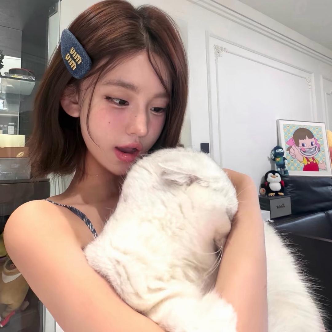 ·二毛（晋中鼎鑫车行）🐑