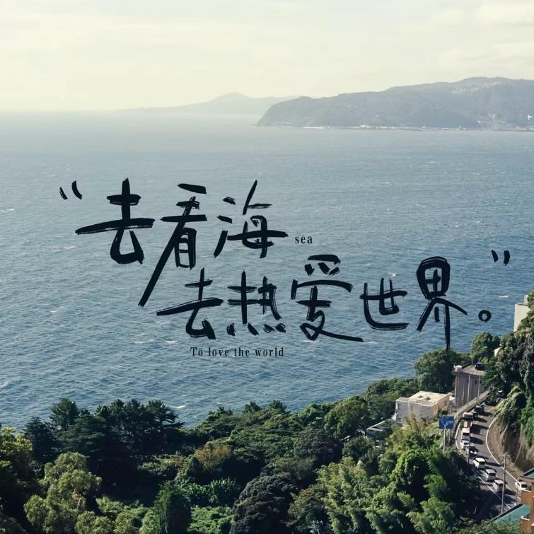 新科高智A