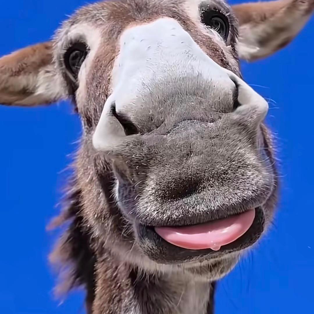 小花文创创意屋