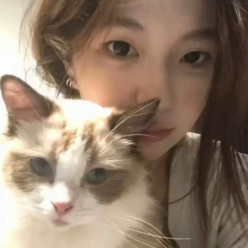 小清💤