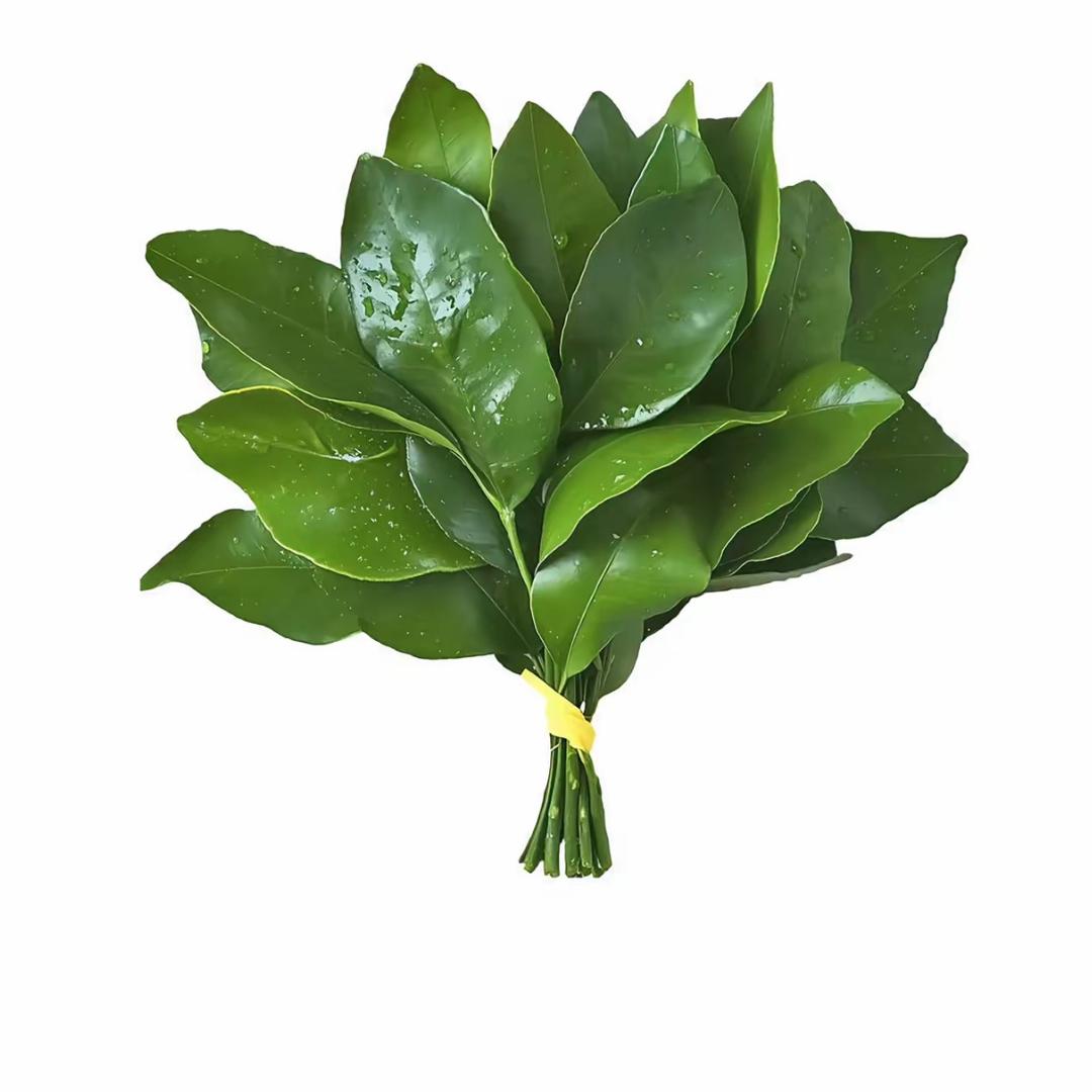 一一