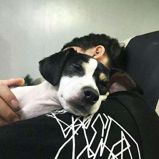 Hang