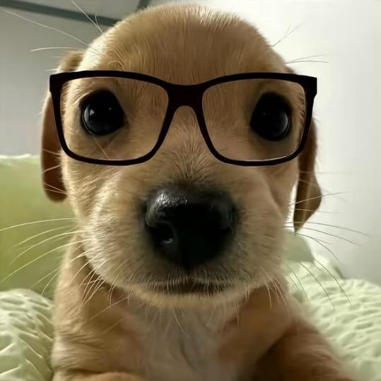 线下轻度社恐患者.