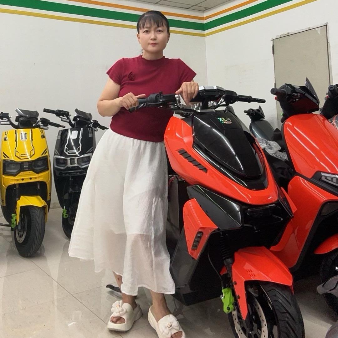 电动车工厂批发小雷