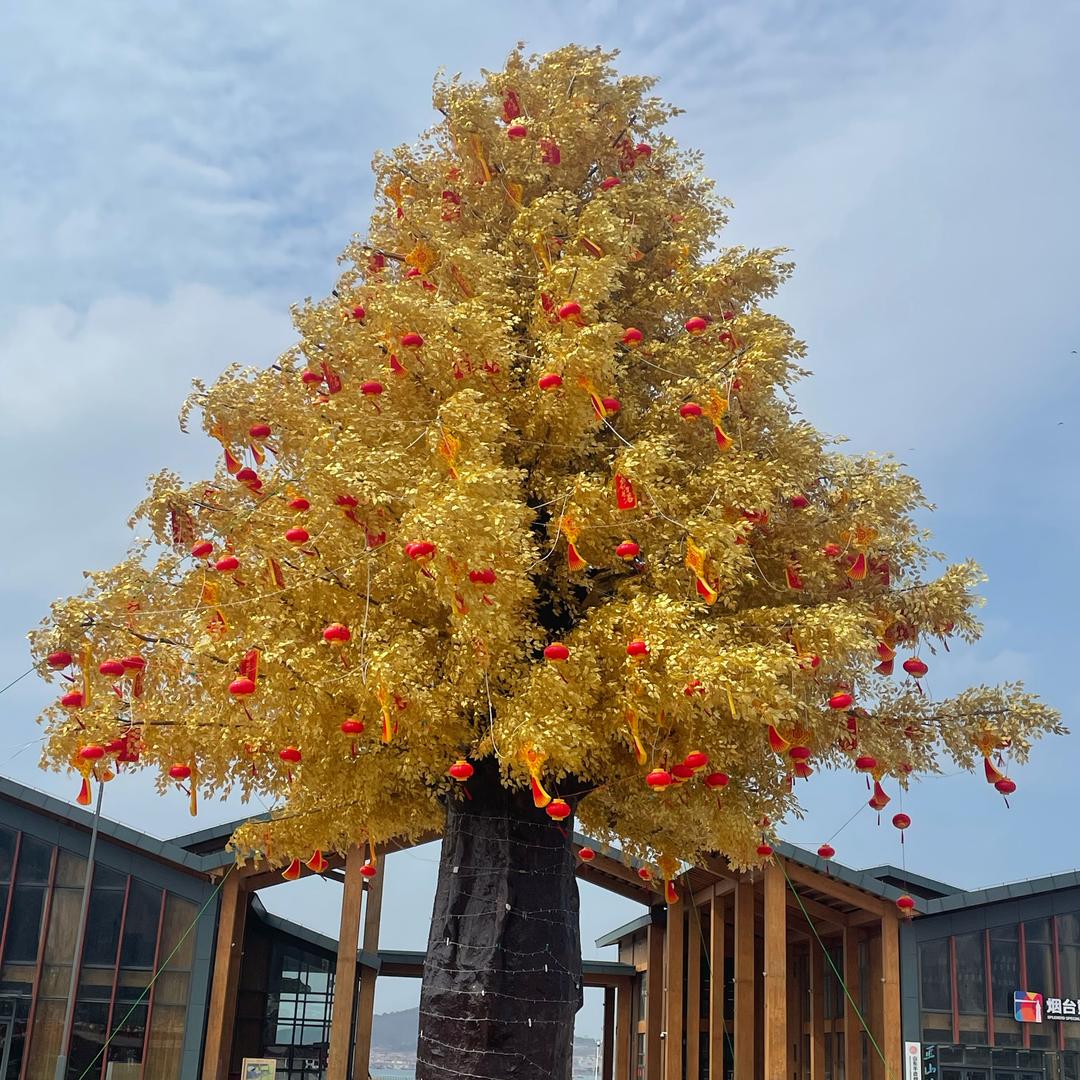 🌈🌈🌈🌈🌈🌈🌈