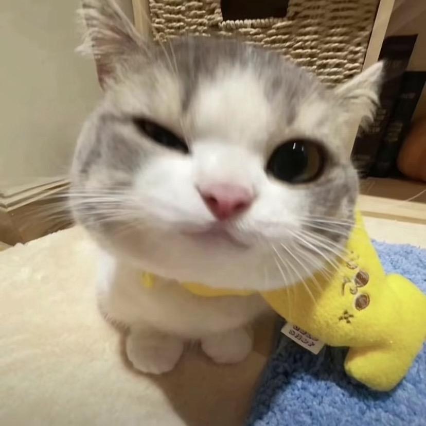 根号三•̩̩̩̩ᯅ•̩̩̩