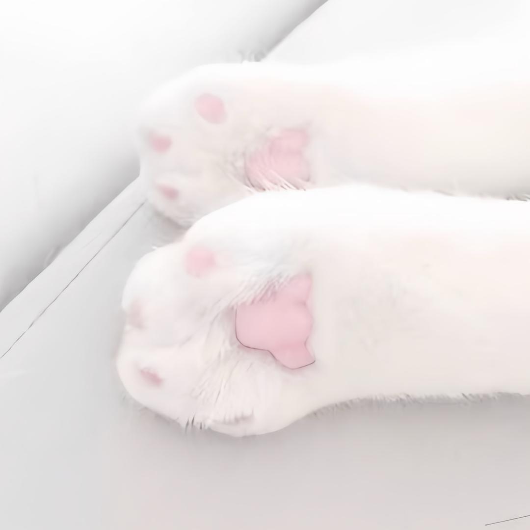 泪因天真而生