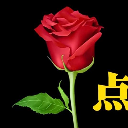 🌹带刺的玫瑰🌹