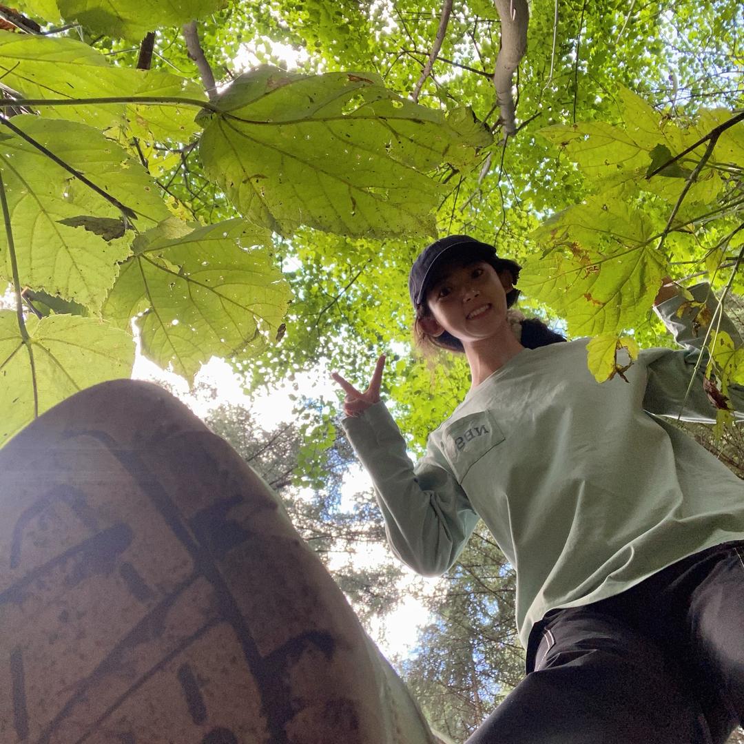 🌱是小姜老师吖