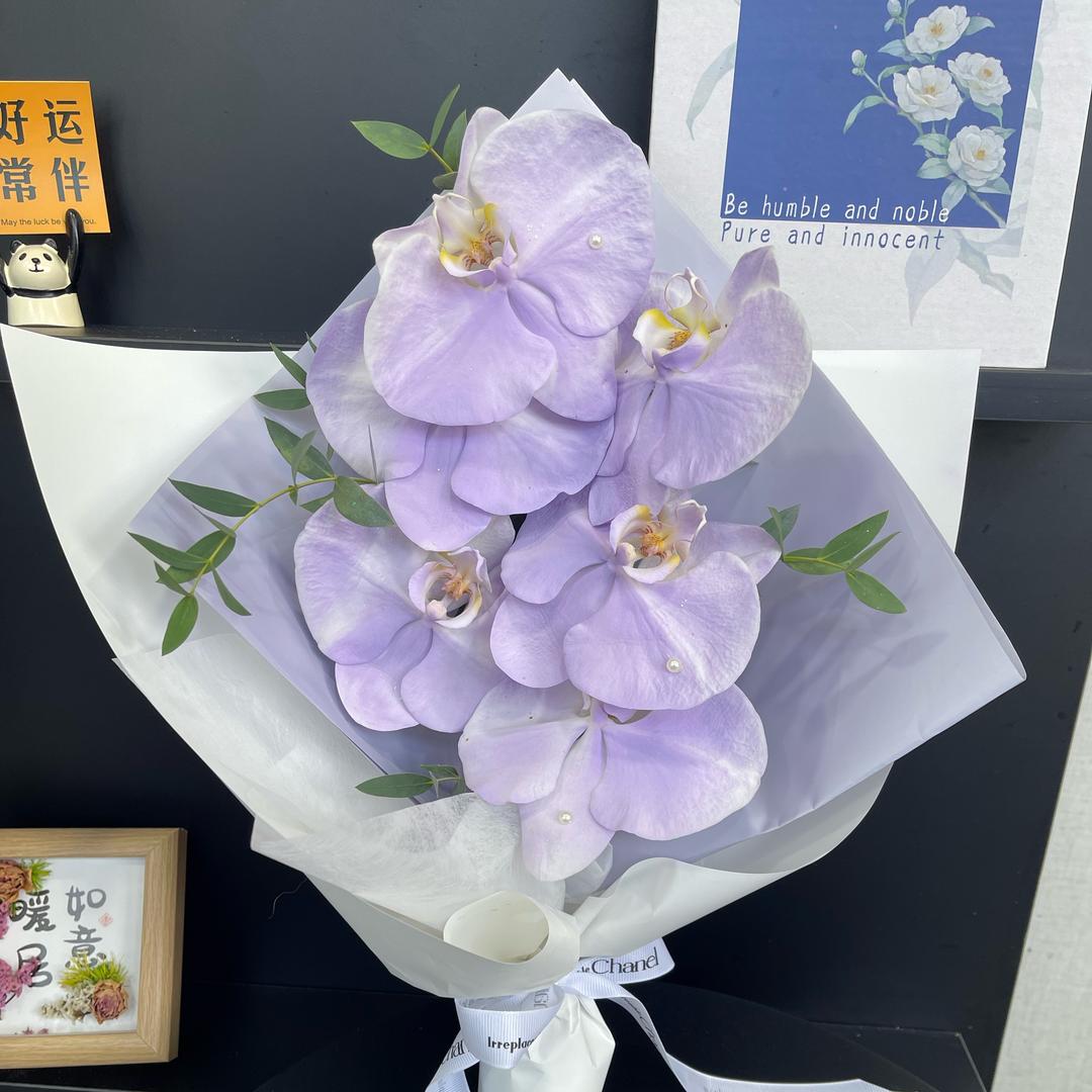柒芬浪漫、