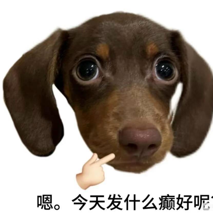 拉粑粑小魔仙💩