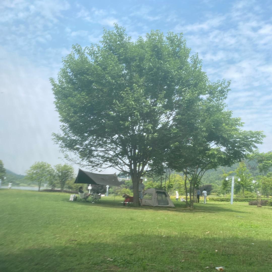 橙子老师