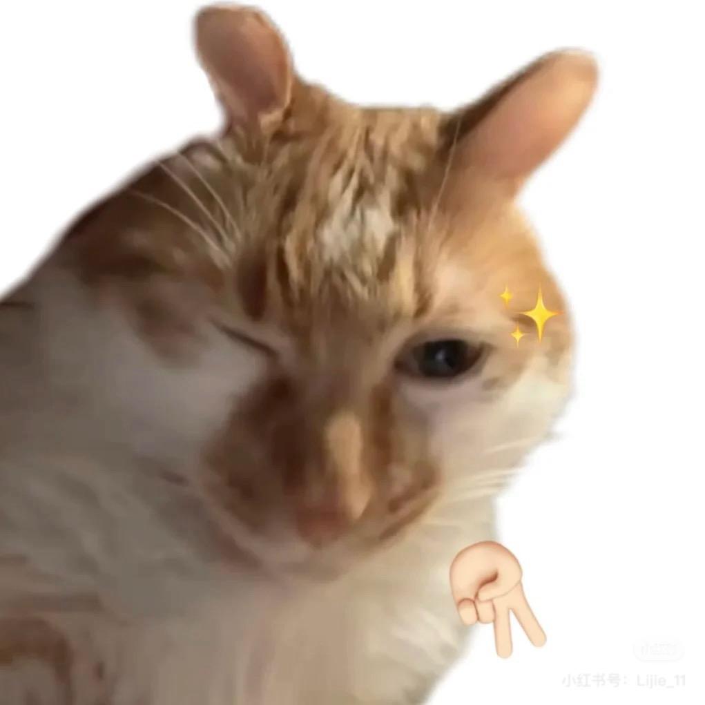 你为撒不7披萨捏