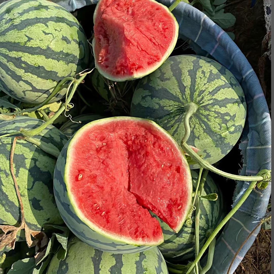 美都西瓜🍉