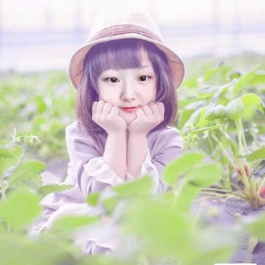 🌼铁打的星星