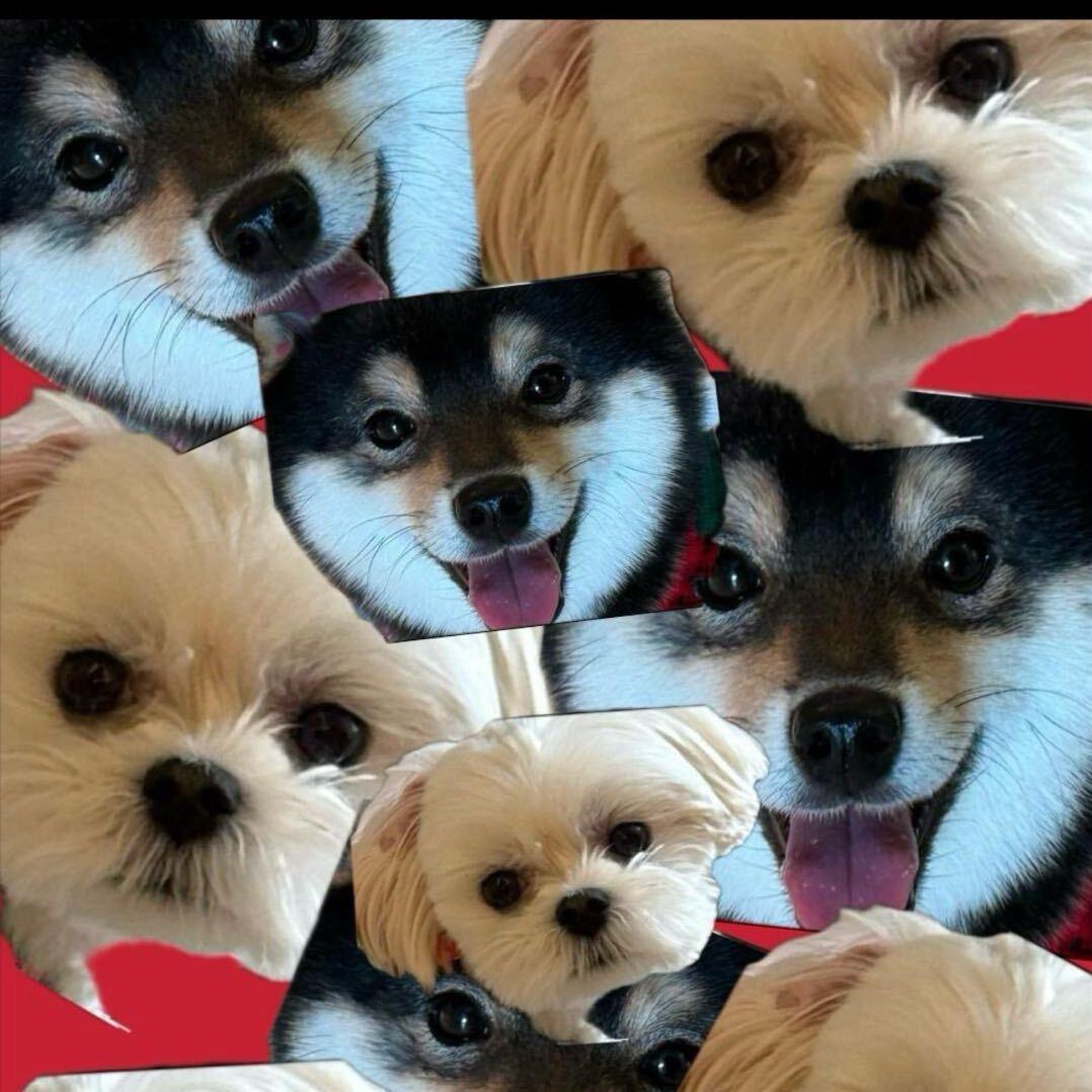 子期