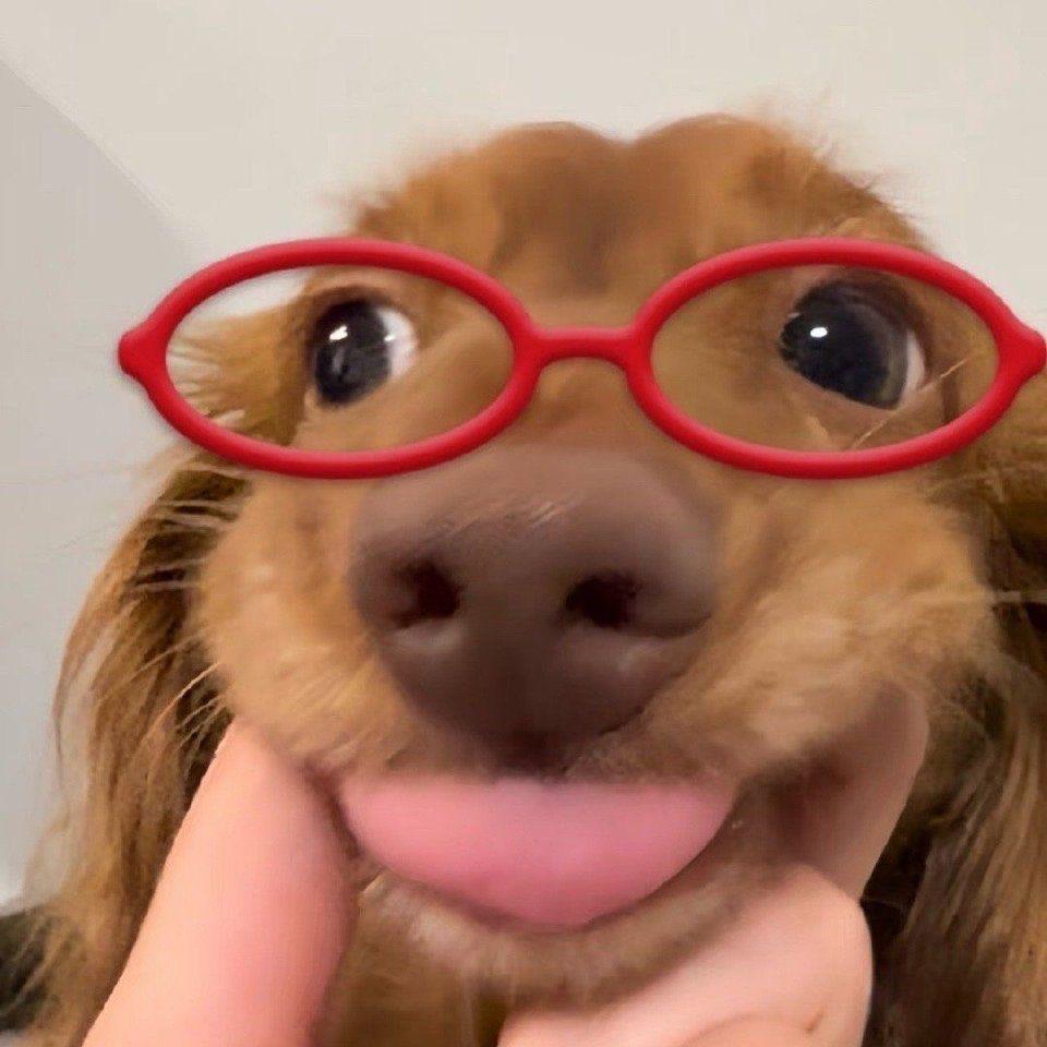 歪歪