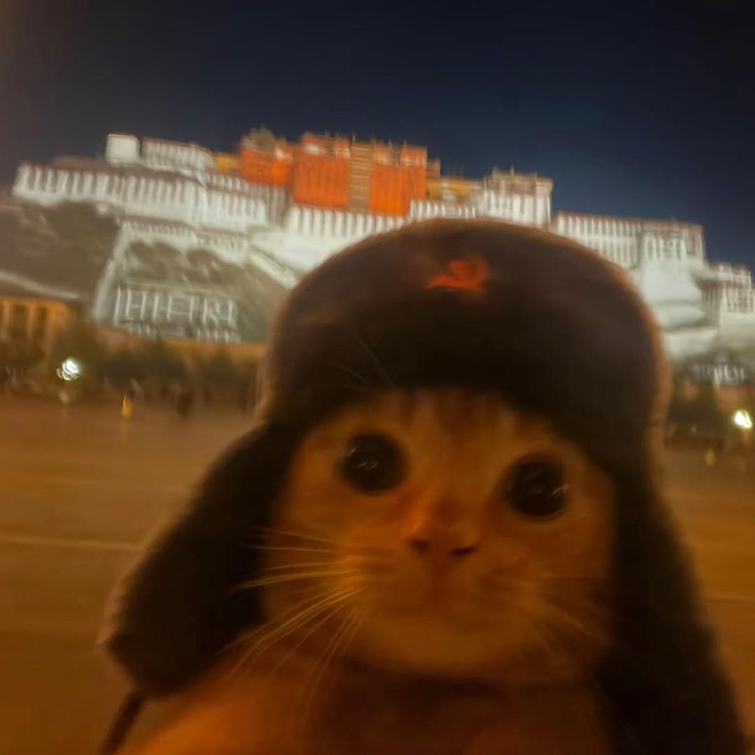 给我一刀乐