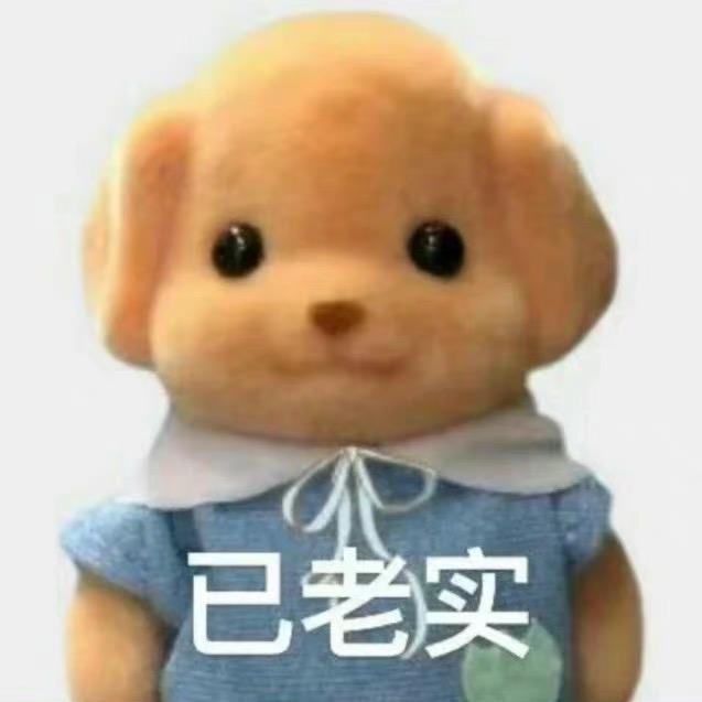 做我的猫(见过徐明浩音乐节版）