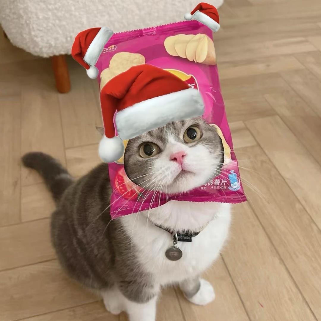😶嘉嘉