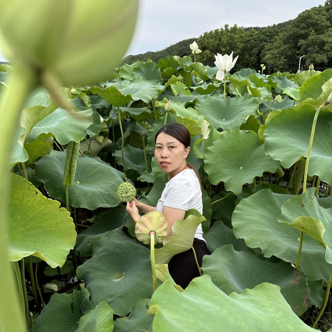 莲妹生态农产品