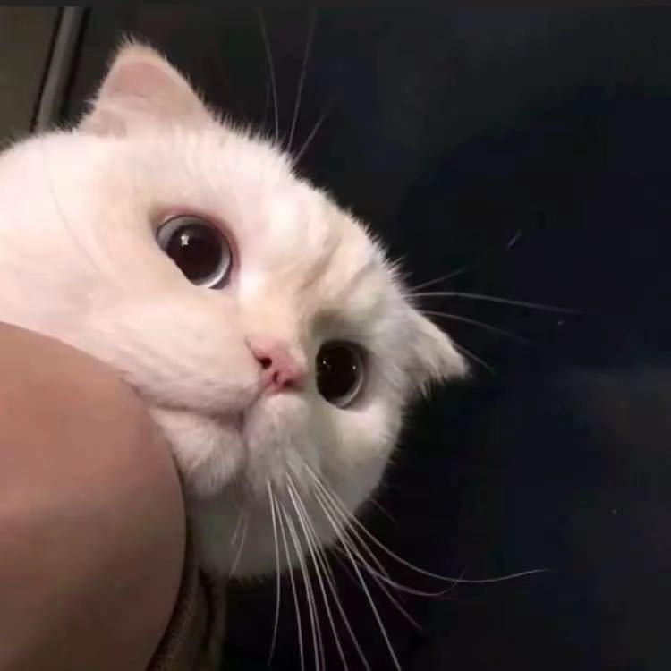 爱河