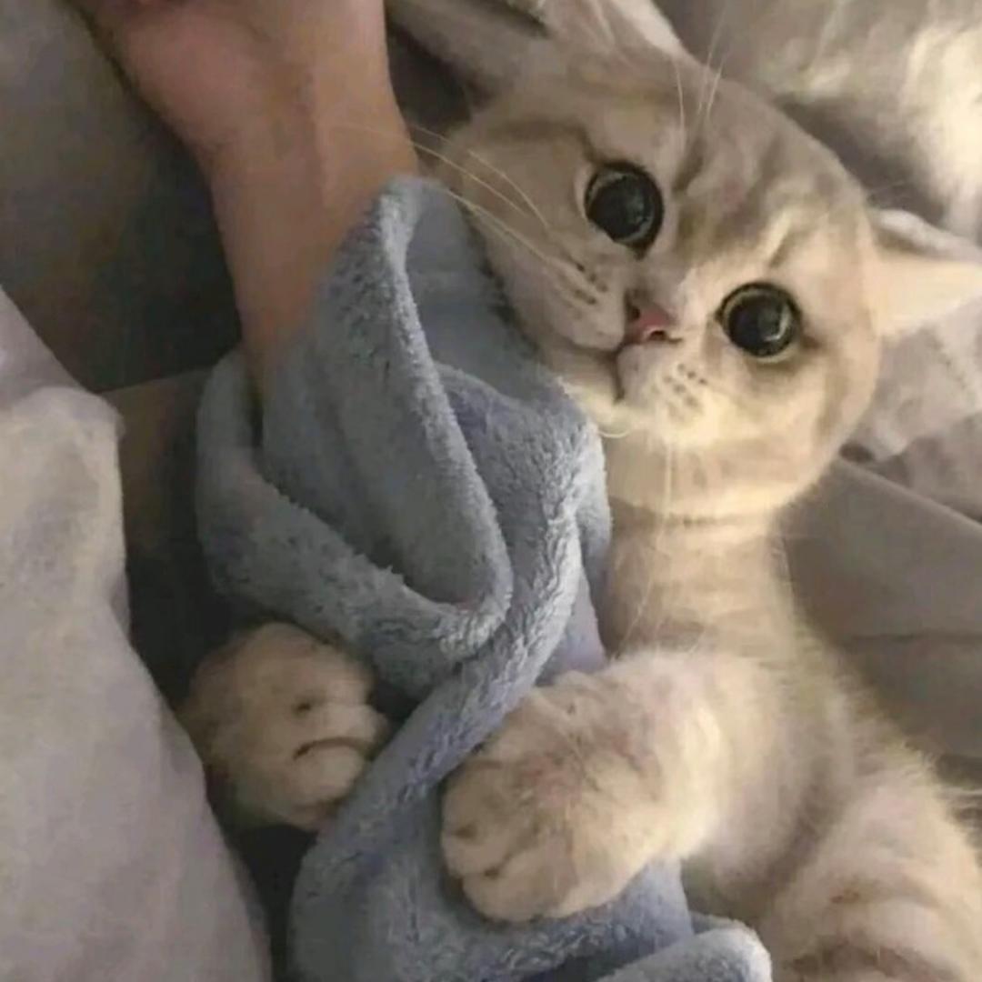               ，