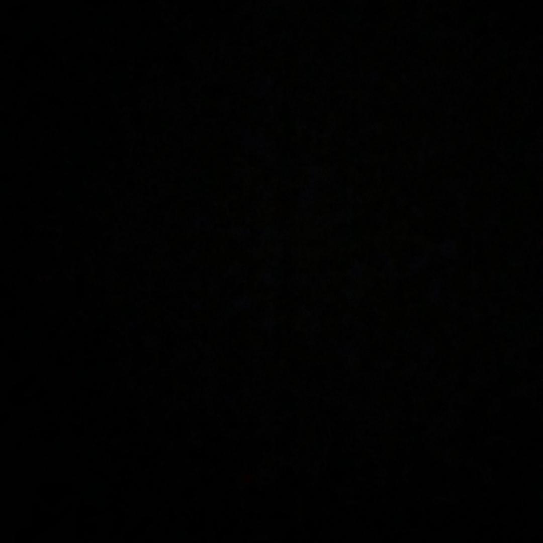 381991976679794