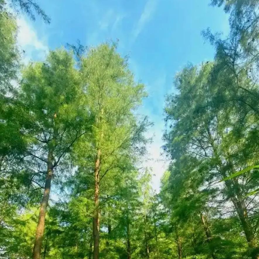 8月