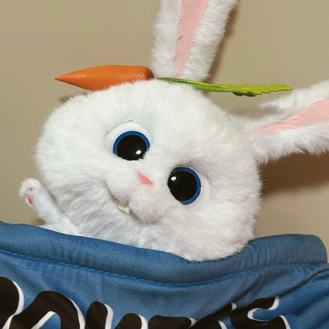 🐰兔然想贴贴