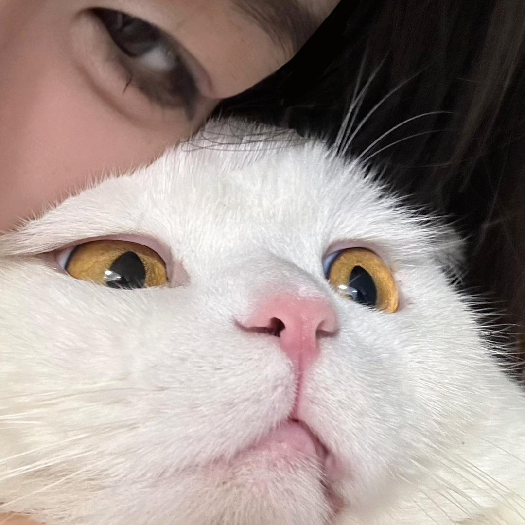 汤圆露馅了
