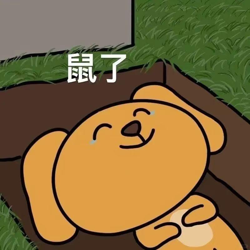 哈吉杯