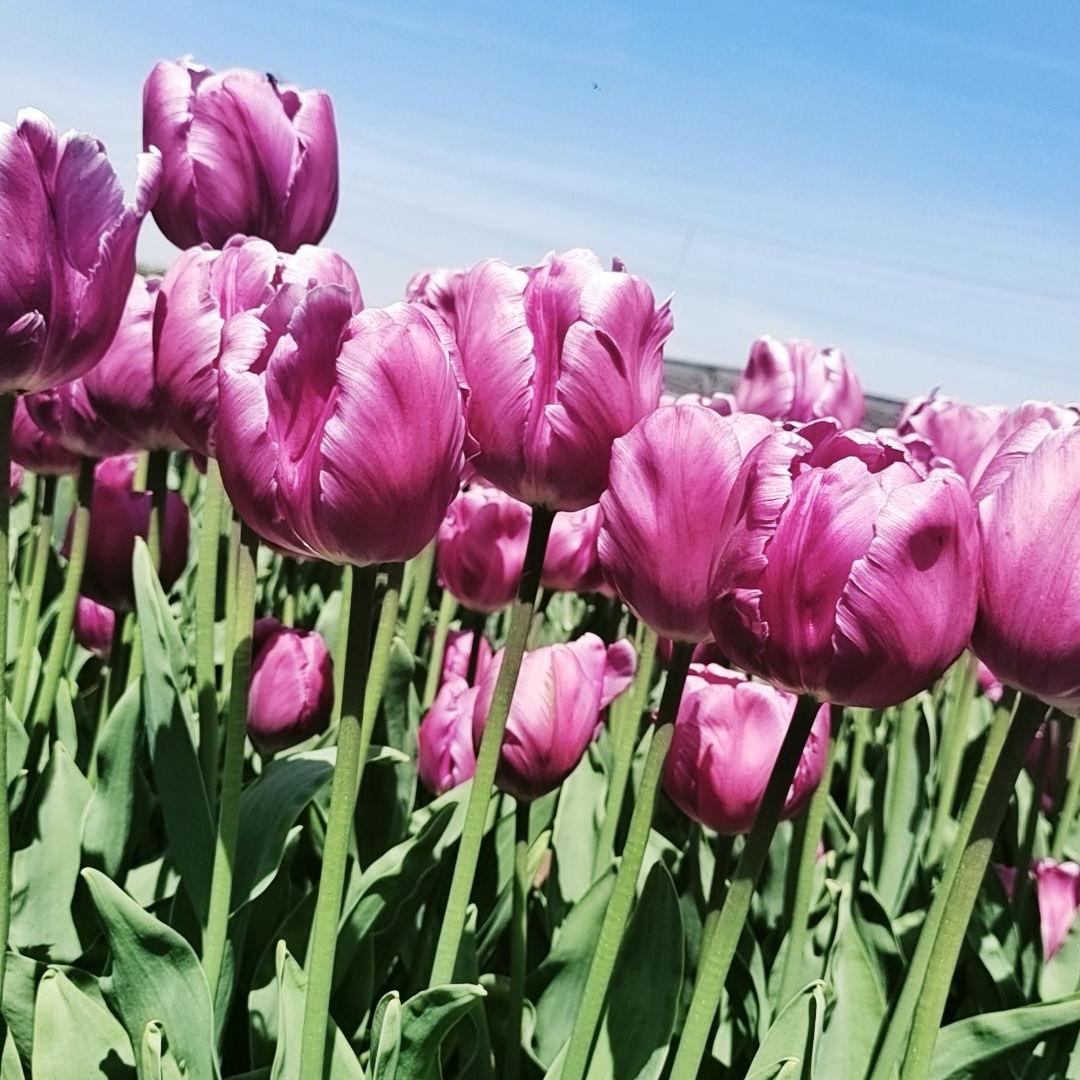 伊伊沫沫奶奶👵