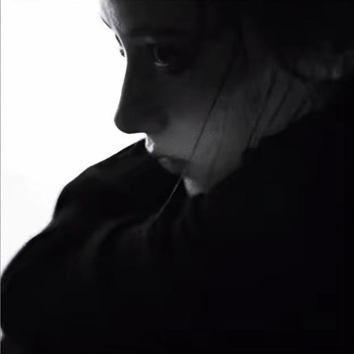 李子园不姓李_