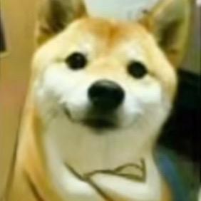 小够狗